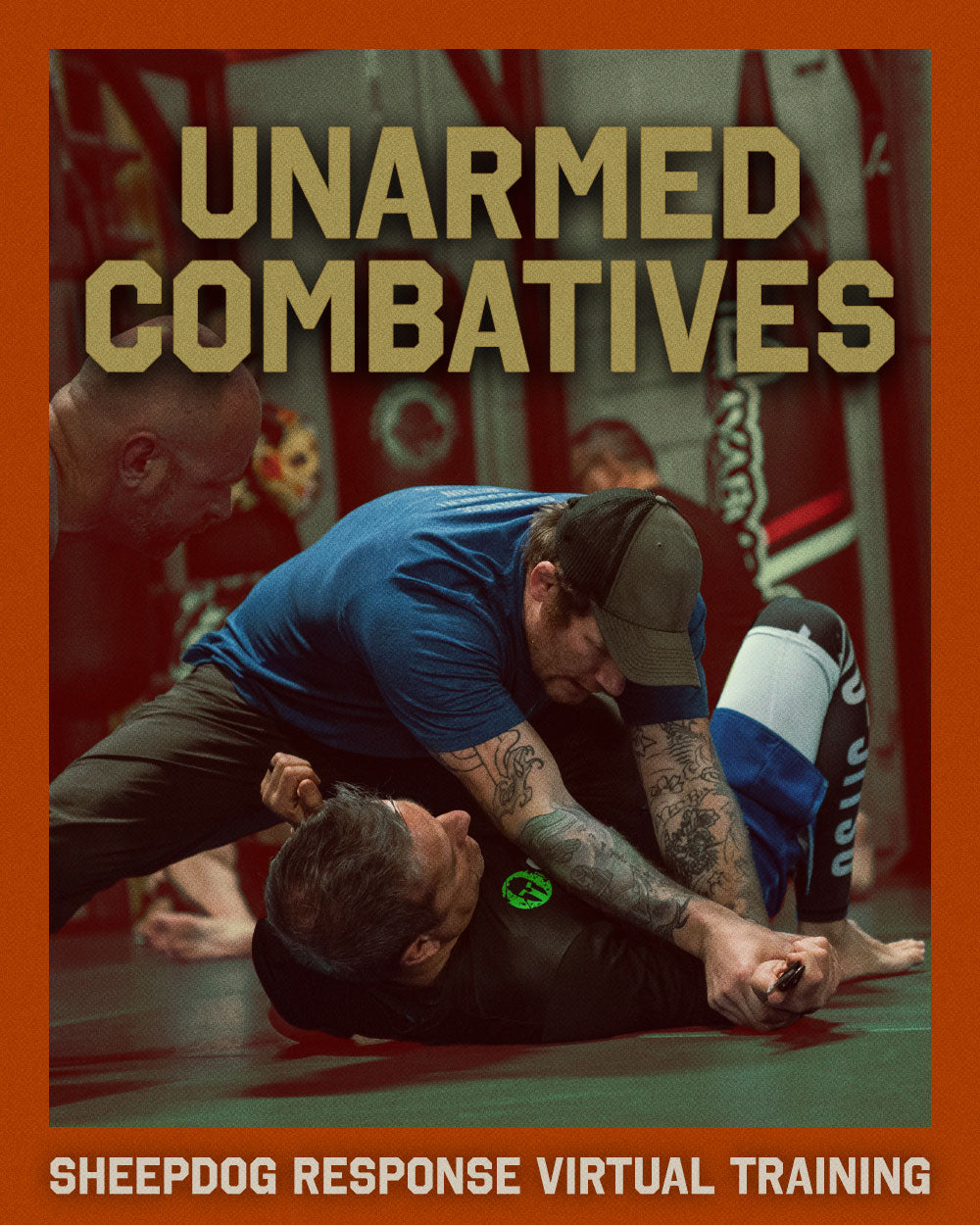 Unarmed Combatives Virtual Training