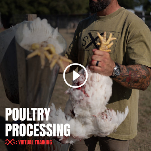 Raising & Processing Meat Birds Virtual Training