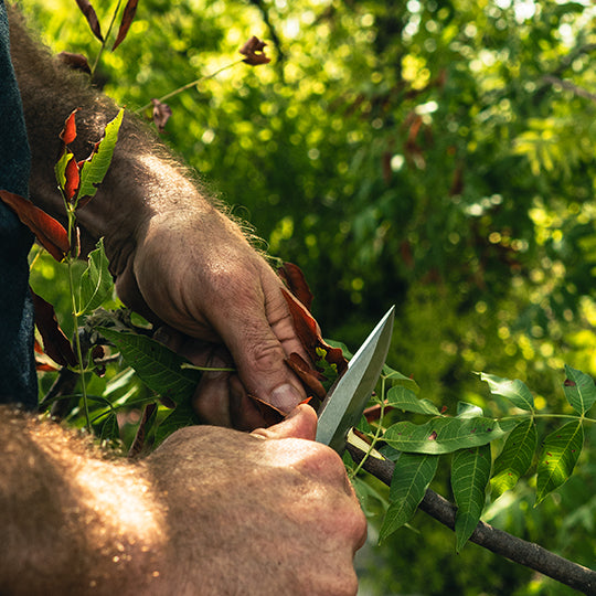Tim Kennedy Emerson Fixed Blade Knife