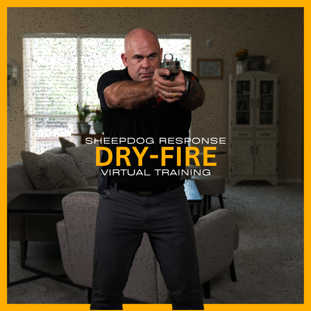 Dry-Fire Virtual Training
