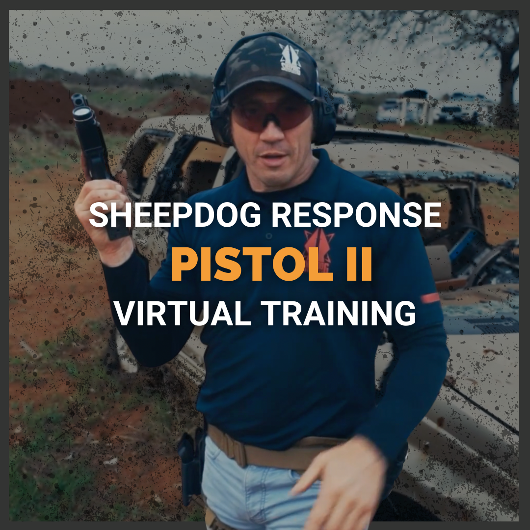 Virtual Pistol 2
