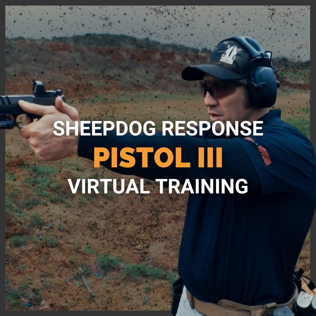 Pistol 3 Virtual Training