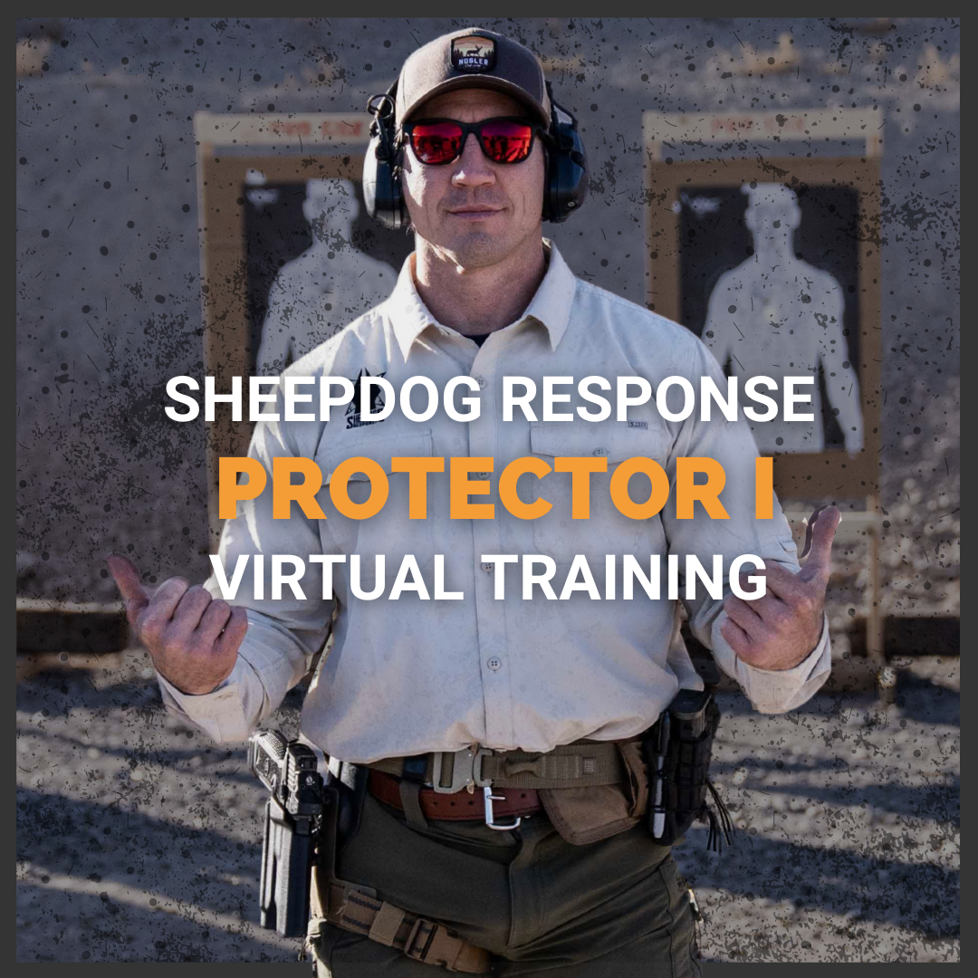Protector 1 Online Virtual Training