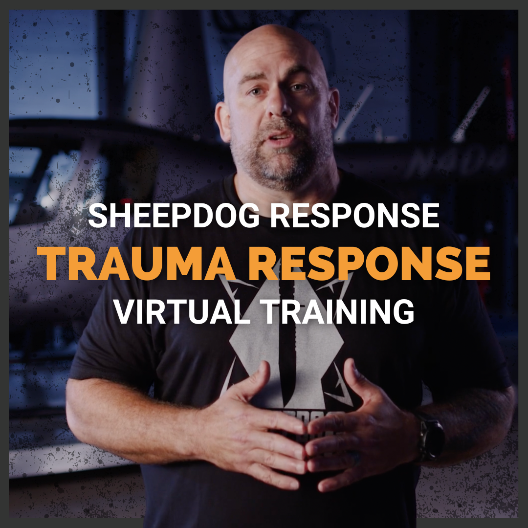 Trauma Response Virtual Training